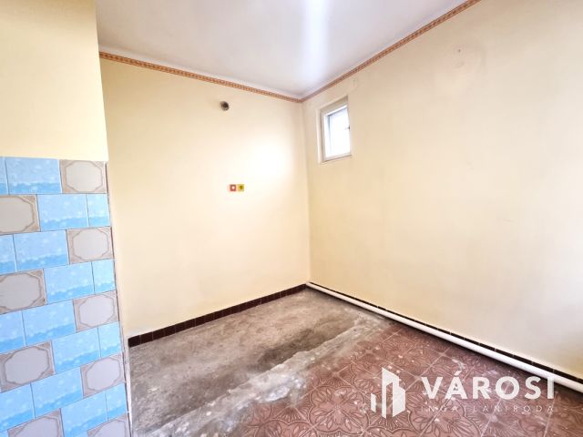 Vízpart közeli telken, kiváló szerkezetű tégla ház eladó