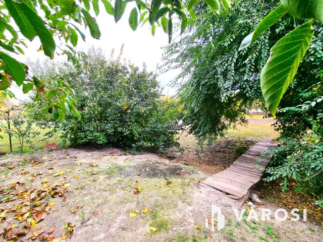 Vízpart közeli telken, kiváló szerkezetű tégla ház eladó