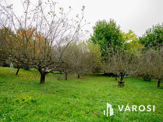 Lovásziban, kedves kis hangulatú zártkerti ingatlan eladó!