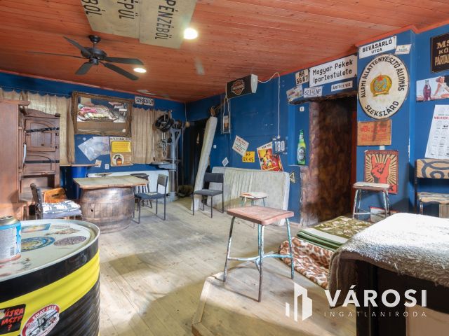 Többfunkciós, tágas, 250 m2-es családi ház Simontornyán