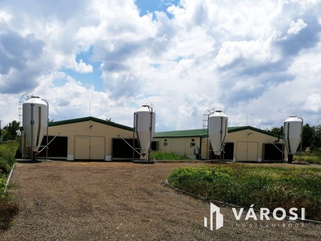 Multifunkciós Majorság 6 hektáron