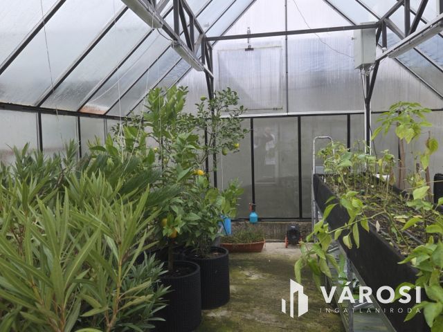 Teljeskörűen felújított ház a Lencztelepen-panel lakás árban