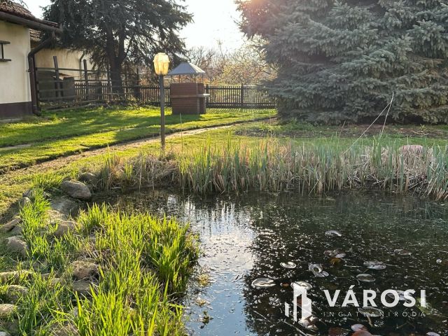 Ritka adottságú ingatlan Újkígyós központjában