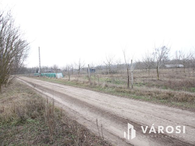 Szeretne passzív jövedelmet dióból?