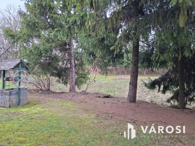 Egy ház, egy patak, egy új kezdet