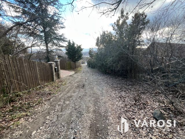 Szentendrei panoráma!