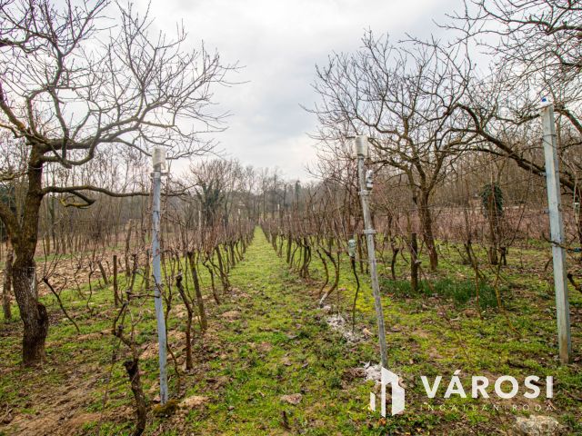 Kellemes, szomszédmentes kis zártkerti ingatlan