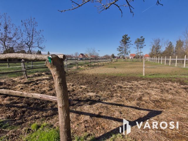 1450 m2-es telek karámmal, ló box-szal, kisházzal eladó
