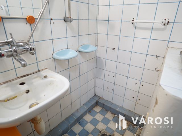 Teleki utcában, udvari lakás kis zöldterülettel