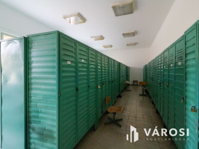 Eladó ipari létesítmény - sokoldalú lehetőségekkel