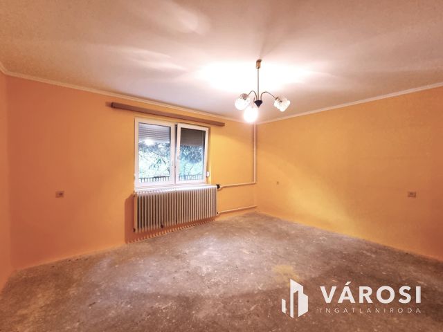 Vízpart közeli telken, kiváló szerkezetű tégla ház eladó