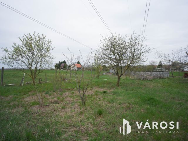 Sashegy pusztai hobbi kert házzal, csendes környezetben
